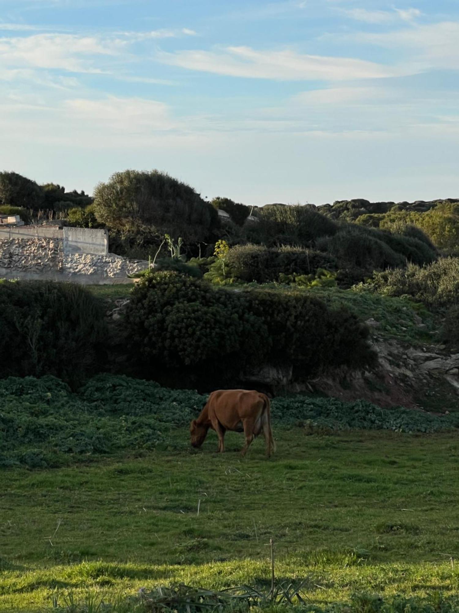 Séjour à la ferme Mongofre
