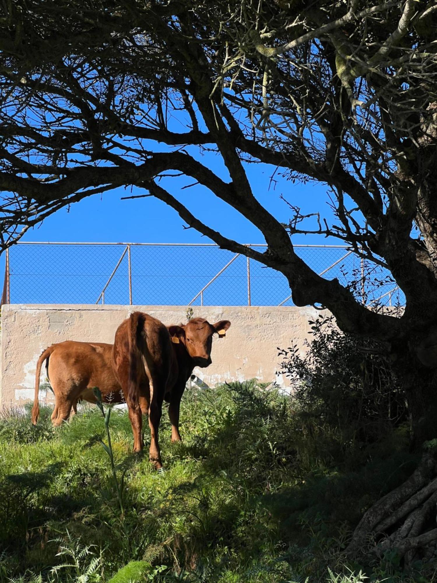 Mongofre Séjour à la ferme
