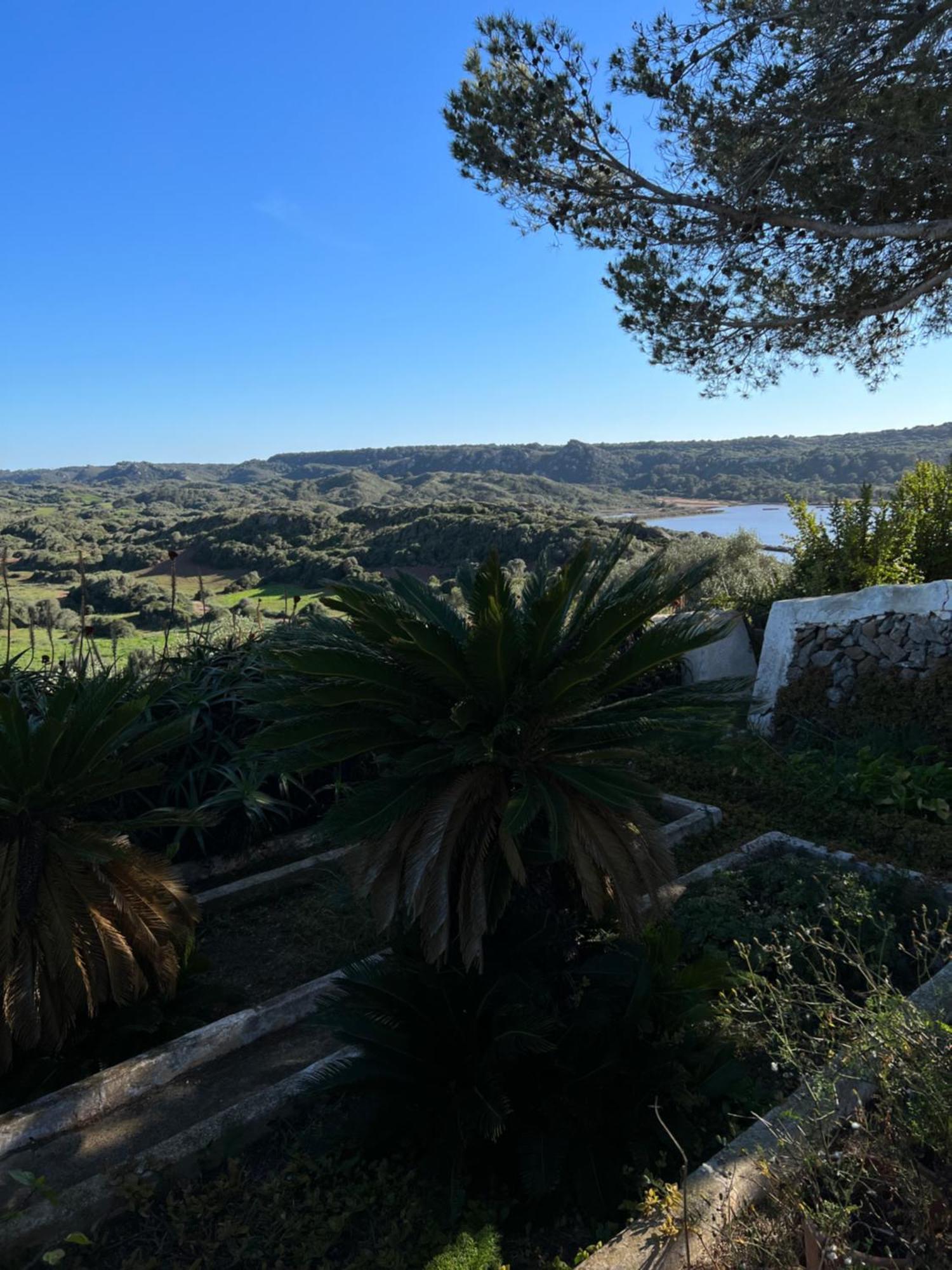 Mongofre Maó