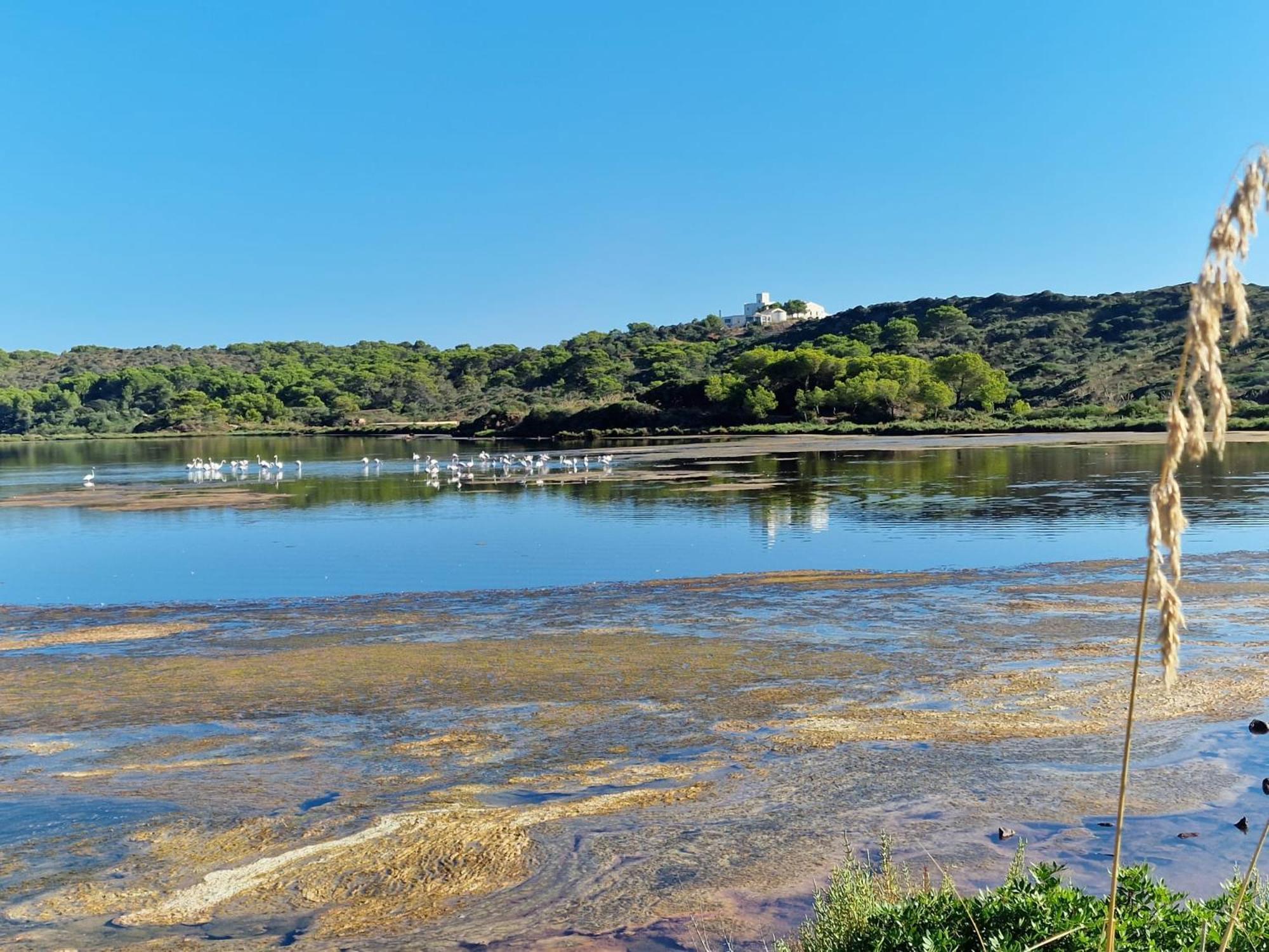 Mongofre Séjour à la ferme Port-Mahon